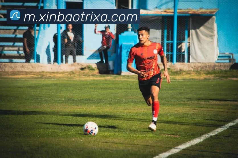 App Interface Preview