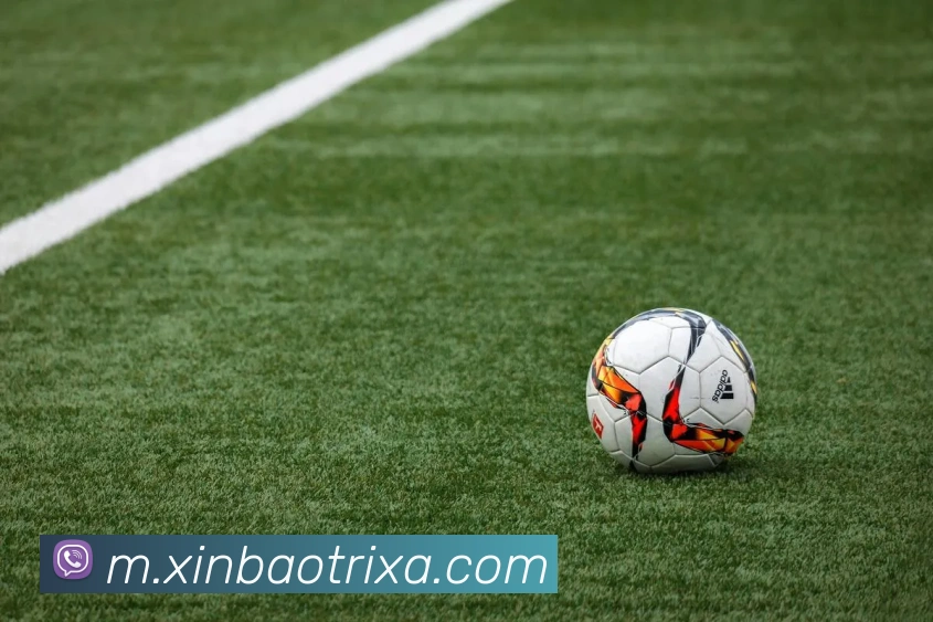 新宝体育APP 封面图